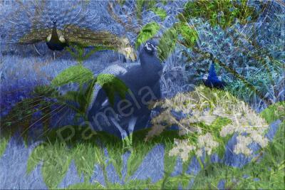 Digital Compositions - Majestic Blue - Photographic Composition