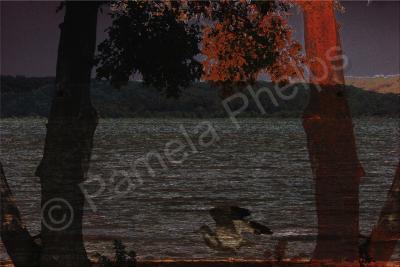 Digital Compositions - Mourning At The River - Photographic Composition