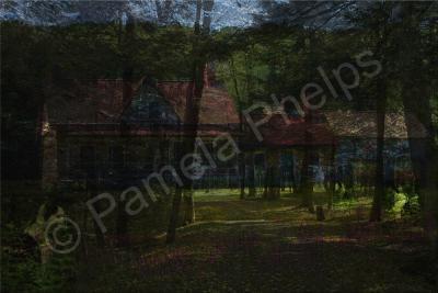 Digital Compositions - Cats Eye - Photographic Composition