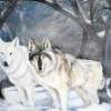 Togather - Acrylic Paintings - By Mildred Savage, Hand Painted Painting Artist