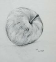 Fuji Apple - Graphite Pencil Drawings - By Efcruz Arts, Modern Drawing Artist