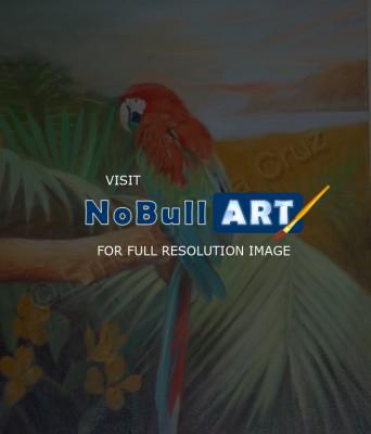 Animals - Macaw - Oil Paint