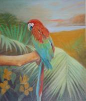 Macaw - Oil Paint Paintings - By Efcruz Arts, Modern Painting Artist