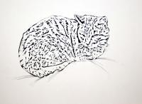 Resting Cat - Pen And Ink Drawings - By Efcruz Arts, Stylize Drawing Artist