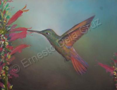 Animals - Hummingbird - Acrylic Paint