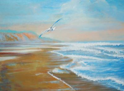 Seascape - Seagull  Aloft - Oil Paint