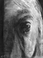 White Knight - Chalk Drawings - By Amanda Robinson, Realism Drawing Artist