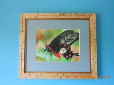 1 Tiles - Matted Frame For A 9 X 12 Photograph-263 - Wood