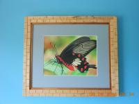 Matted Frame For A 9 X 12 Photograph-263 - Wood Woodwork - By Larry Niekamp, Framing Woodwork Artist