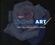 Flower - Purple Rose - Oil