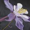 Purple Columbine - Oil Paintings - By Sunanta Deangdeelert, Flower Painting Artist
