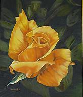 Flower - Yellow Rose - Oil