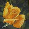 Yellow Rose - Oil Paintings - By Sunanta Deangdeelert, Flower Painting Artist