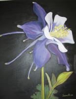 Purple Columbine 2 - Oil Paintings - By Sunanta Deangdeelert, Flower Painting Artist