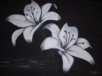 Black And White - Beautiful Lilies - Acrylic