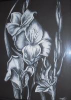 Black And White Flower3 - Charcoal And Pastel Drawings - By Sunanta Deangdeelert, Pastel On Black Paper Drawing Artist