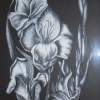 Black And White Flower3 - Charcoal And Pastel Drawings - By Sunanta Deangdeelert, Pastel On Black Paper Drawing Artist