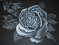 Darling Rosa - Charcoal And Pastel Drawings - By Sunanta Deangdeelert, Pastel On Black Paper Drawing Artist