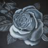 Darling Rosa - Charcoal And Pastel Drawings - By Sunanta Deangdeelert, Pastel On Black Paper Drawing Artist