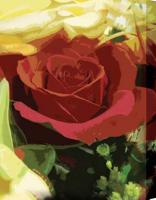Cara Mia - Cameracomputer Paint Digital - By Linda Nesbit-Floria, Digital Photograph Digital Artist
