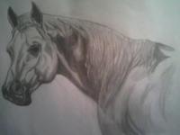 Animals - Stud Talk - Pencil  Paper