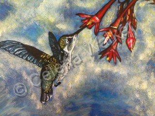 Animals - Hummingbird - Acrylic Board