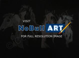 Animals - Paint Horses - Scratch Board