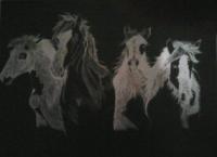 Paint Horses - Scratch Board Other - By Celena Walker, Nature Other Artist
