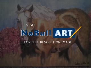 Animals - Palamino Paint Stud - Acrylic  Canvas