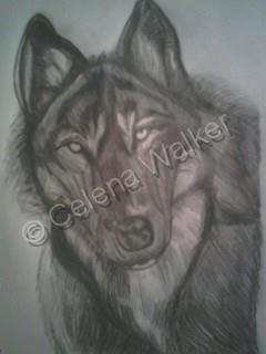 Animals - Wolf - Pencil  Paper