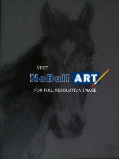 Animals - Tonyas Horse - Pencil  Paper