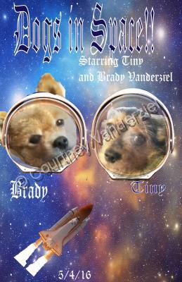 Dog Collage - Dogs In Space - Photoshop