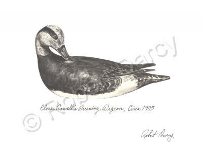 Available - Elmer Crowell Preening  Wigeon Decoy - Pencil