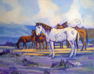 Colorado Wildlife - Mustangs - Acrylic On Canvas