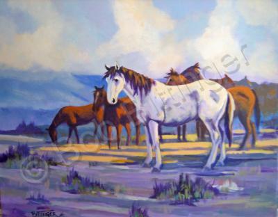 Colorado Wildlife - Mustangs - Acrylic On Canvas