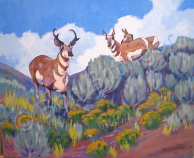 Colorado Wildlife - Sagebrush Prince - Acrylic On Canvas