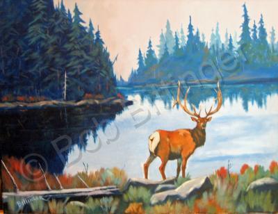 Colorado Wildlife - Serenity - Acrylic On Canvas