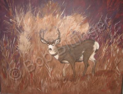 Colorado Wildlife - Deep Cover - Acrylic On Masonite