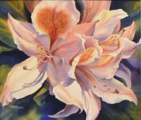 Azalea Blast - Watercolor Paintings - By Pat Graham, Realism Painting Artist