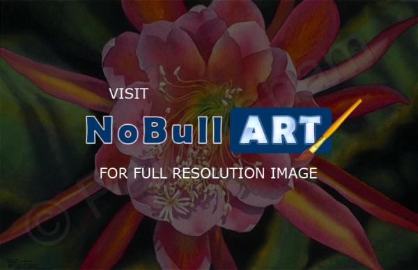 Floral - Cactus Flower - Watercolor