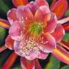 Cactus Flower - Watercolor Paintings - By Pat Graham, Realism Painting Artist