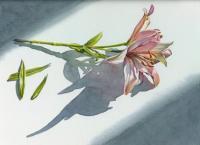 Lilies - Watercolor Paintings - By Pat Graham, Realism Painting Artist