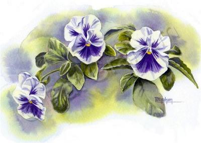 Floral - Pansies - Watercolor