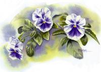 Pansies - Watercolor Paintings - By Pat Graham, Realism Painting Artist