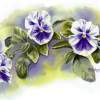 Pansies - Watercolor Paintings - By Pat Graham, Realism Painting Artist