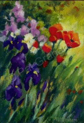 Floral - Field Poppies - Pastel