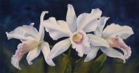 Purity - Watercolor Paintings - By Pat Graham, Realism Painting Artist