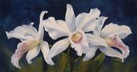 Purity - Watercolor Paintings - By Pat Graham, Realism Painting Artist