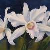 Purity - Watercolor Paintings - By Pat Graham, Realism Painting Artist