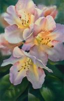 Inner Glow II - Watercolor Paintings - By Pat Graham, Realism Painting Artist